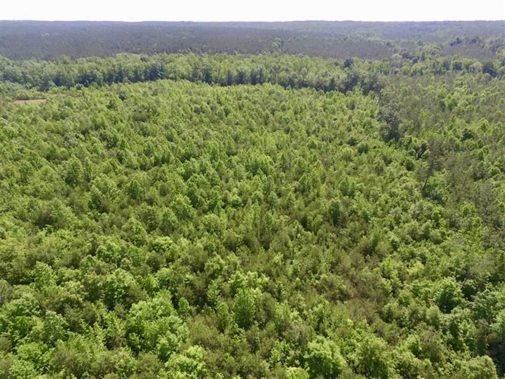 55.68 Acres of Land for sale in lunenburg County, Virginia