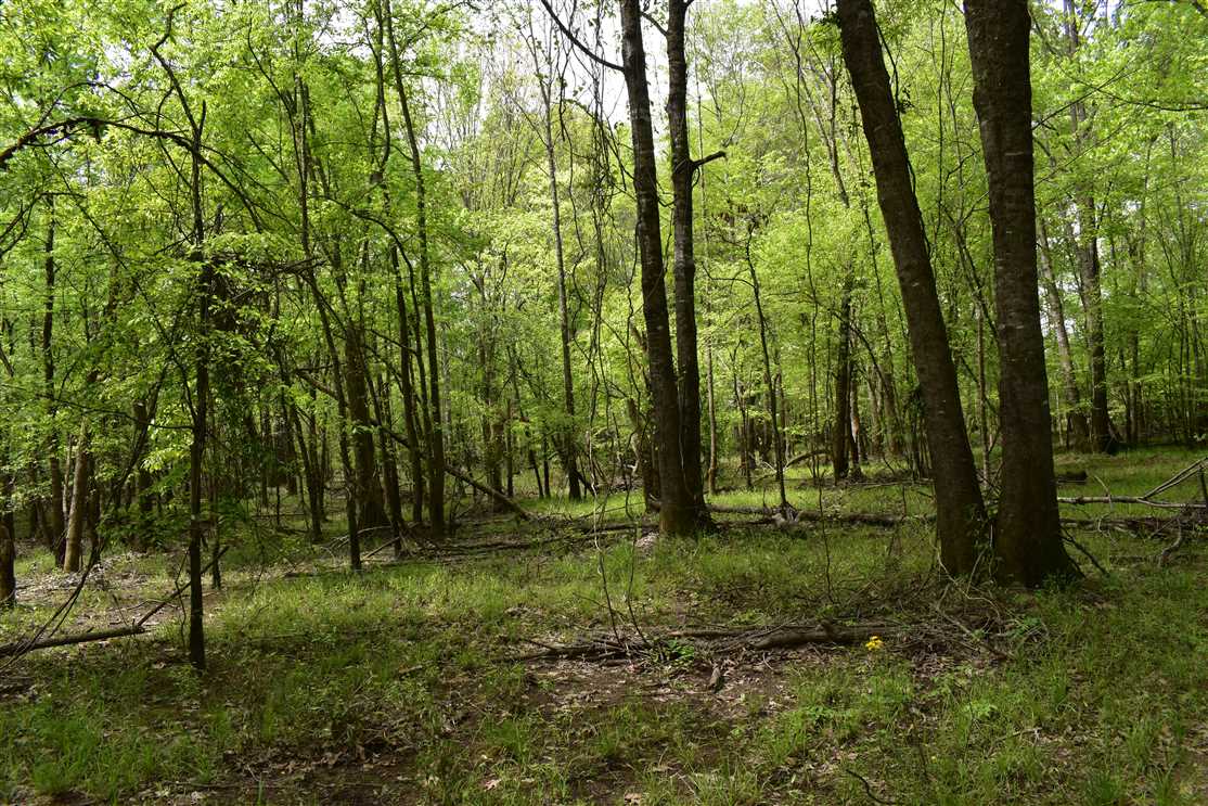 property for sale on The Land Market