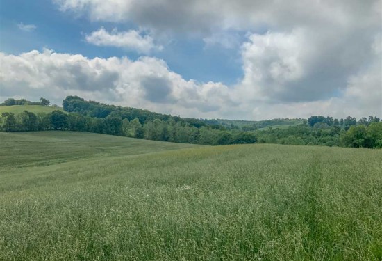 67 Acres of Land for Sale in jackson County Ohio