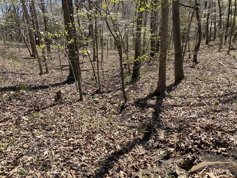 Land for sale at TBD State Highway MM