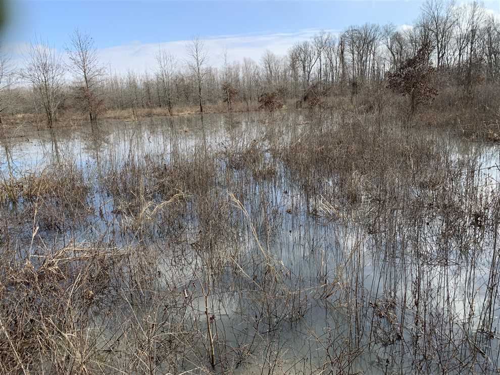 Houses and land for sale in Arkansas
