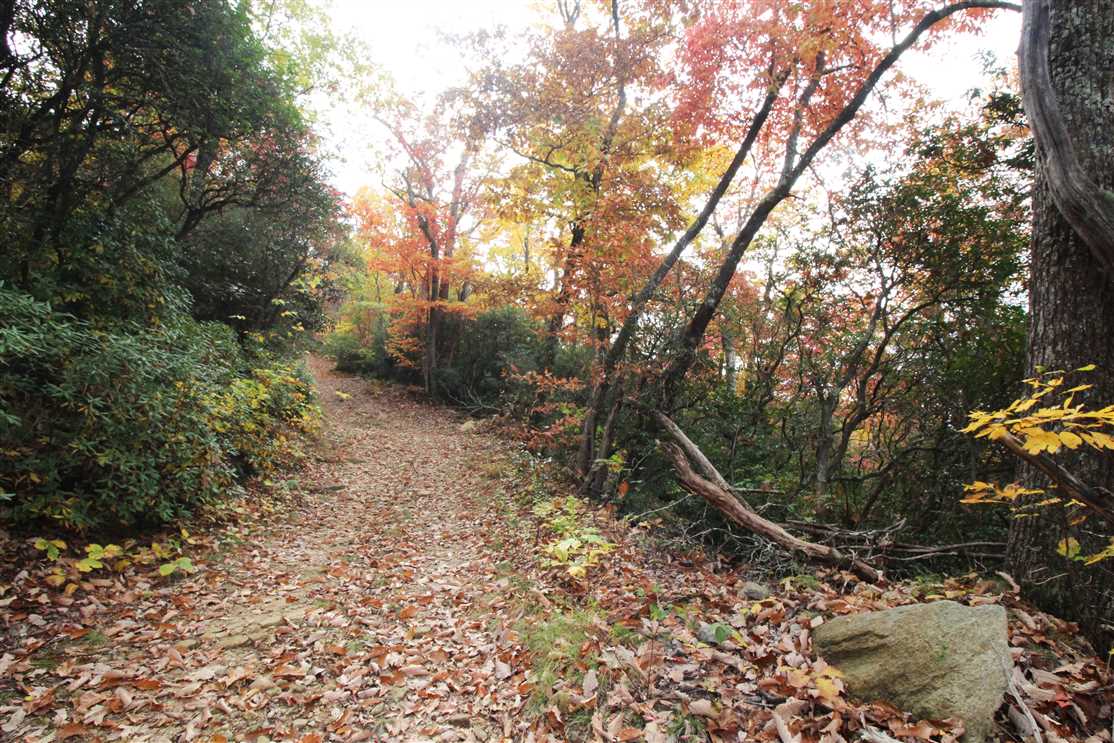 20.32+/- Acres in Black Mountain, Buncombe County Real estate listing