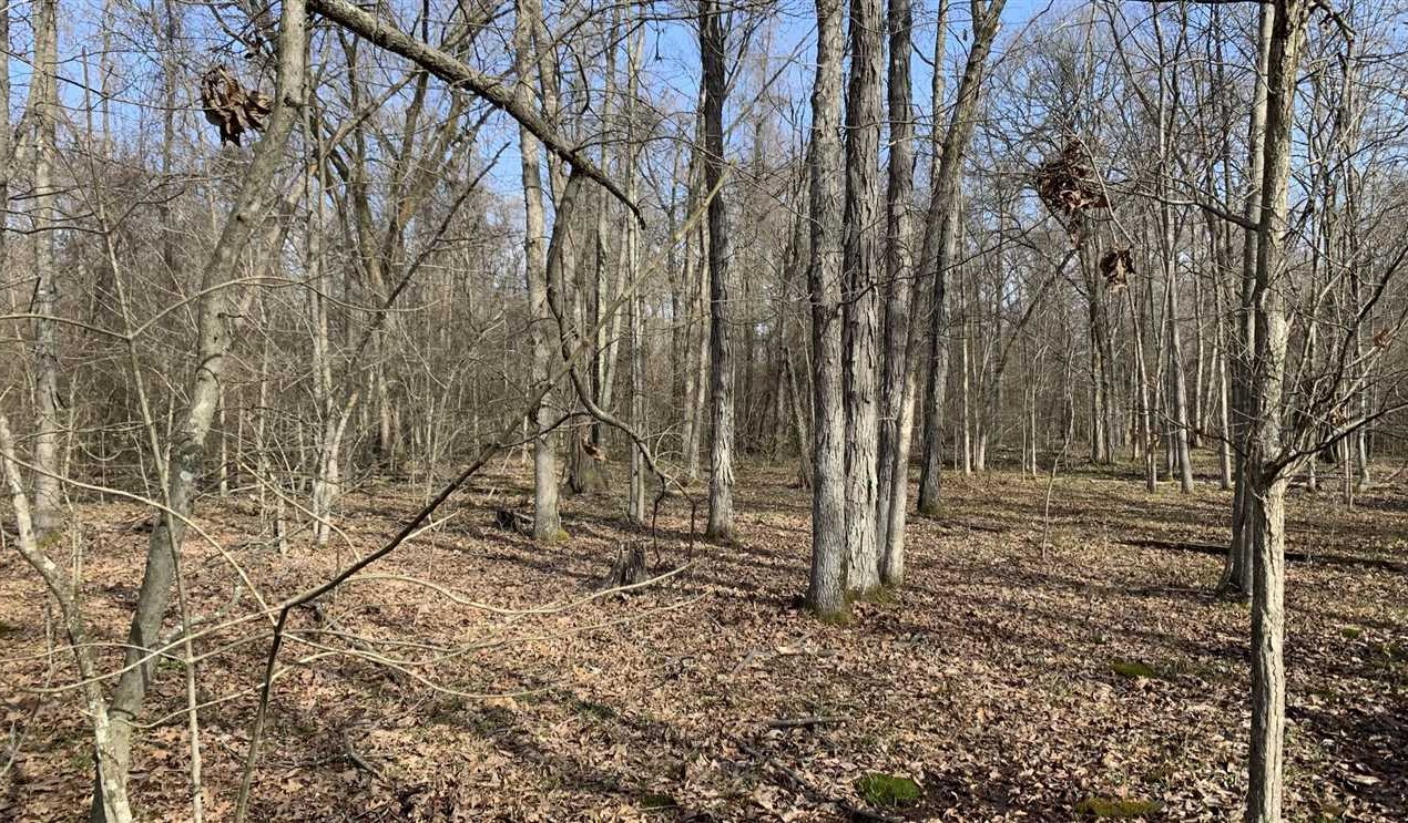 Land for sale at 00 Tamo River Road