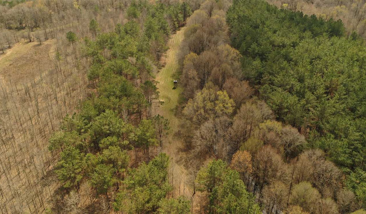 Timberland real estate available to buy