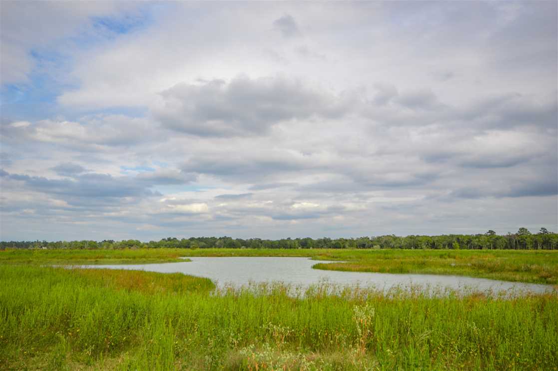 Land for sale at