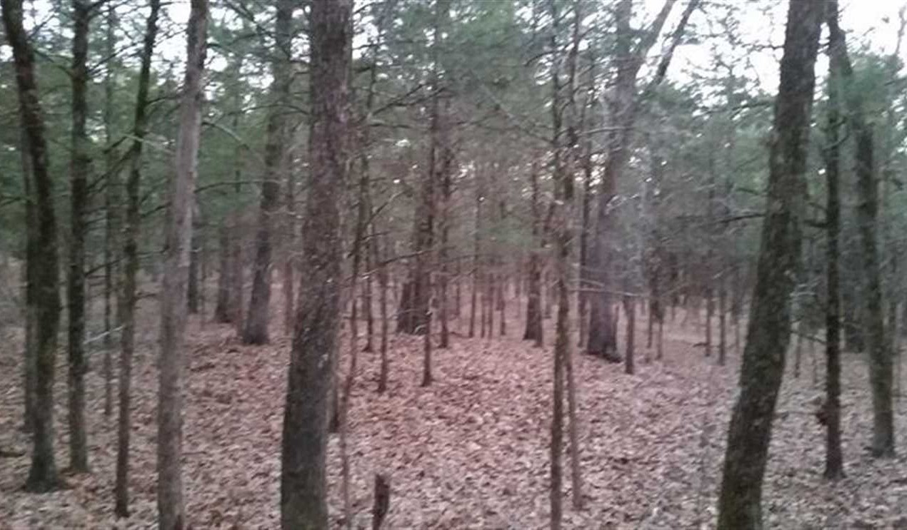 property for sale on The Land Market