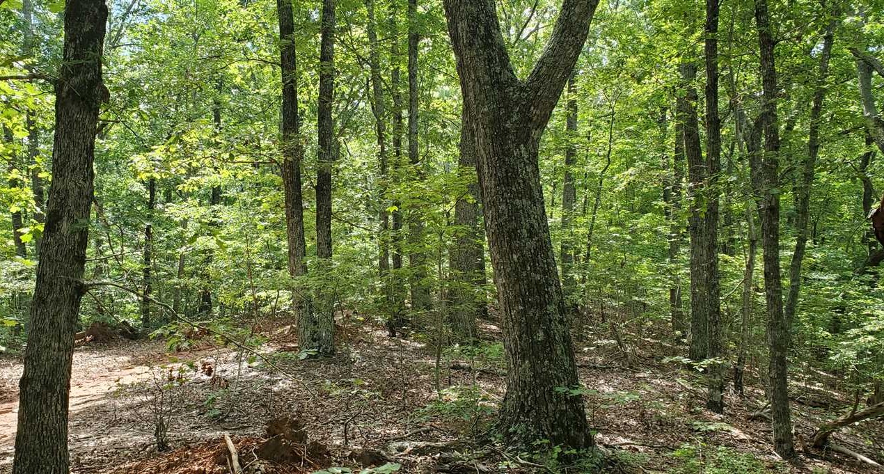 18.91 Acres of Residential land for sale in Bostic, rutherford County, North Carolina