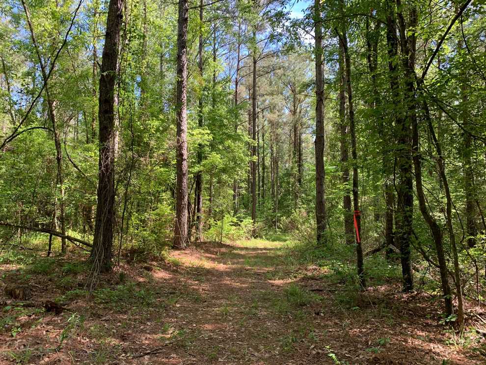 Land for sale at Highway 152