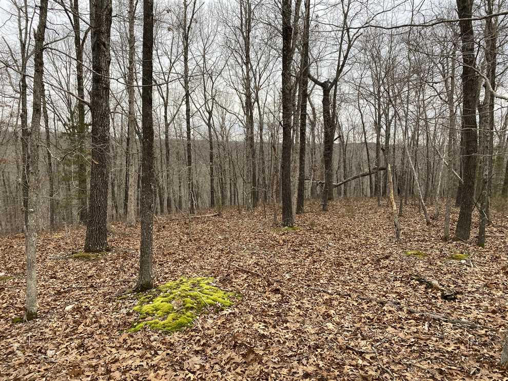 Houses and land for sale in Arkansas