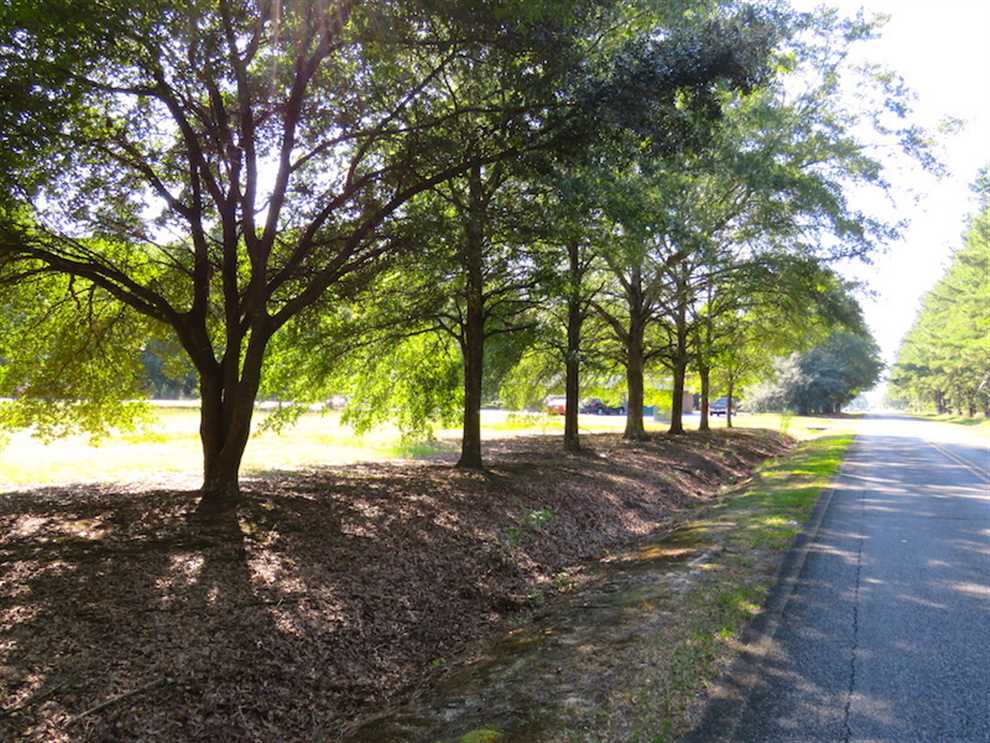 Houses and land for sale in North Carolina