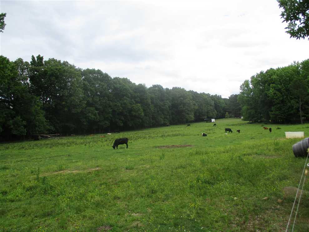 75 Acres of Land for sale in pontotoc County, Mississippi