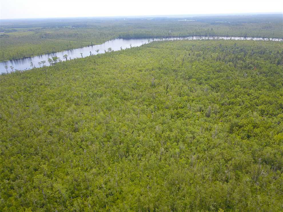 Recreational and   property for sale on The Land Market