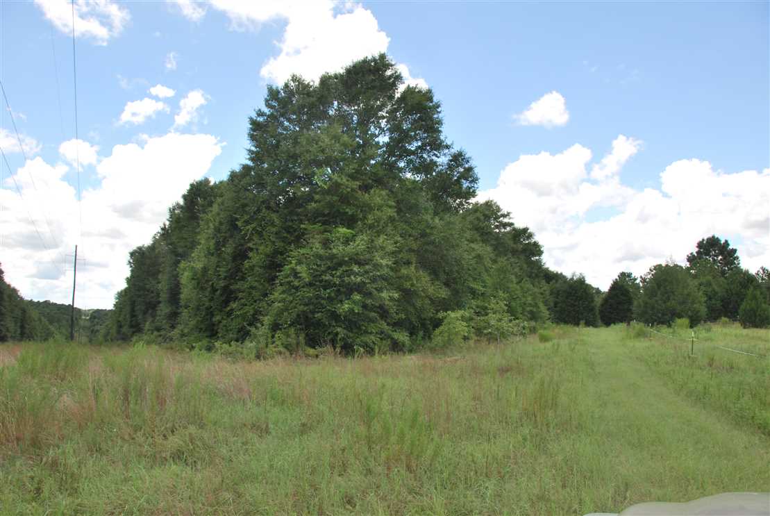 194 Acres of Land for sale in dale County, Alabama