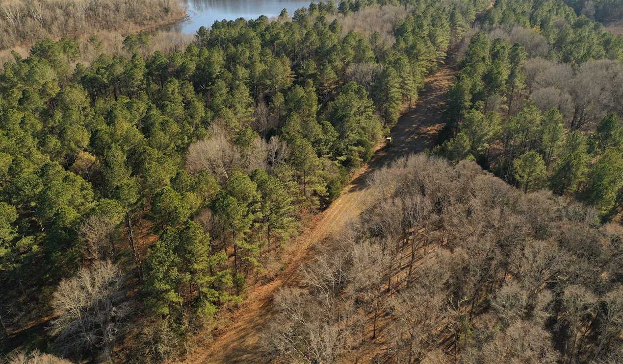 Land for sale to buy in 39773 zip code