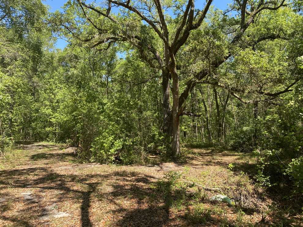 406.53 Acres of Recreational land for sale in Monticello, jefferson County, Florida