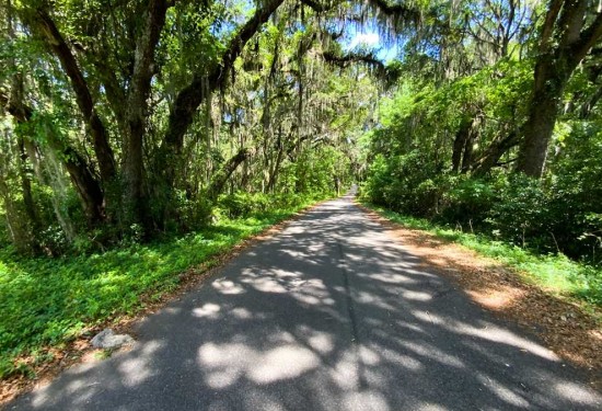 88.39 Acres of Land for Sale in madison County Florida