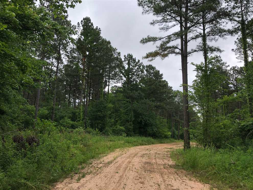 Houses and land for sale in Arkansas