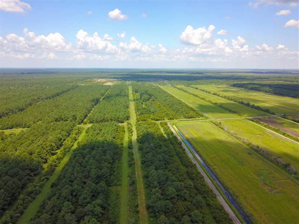 Houses and land for sale in North Carolina