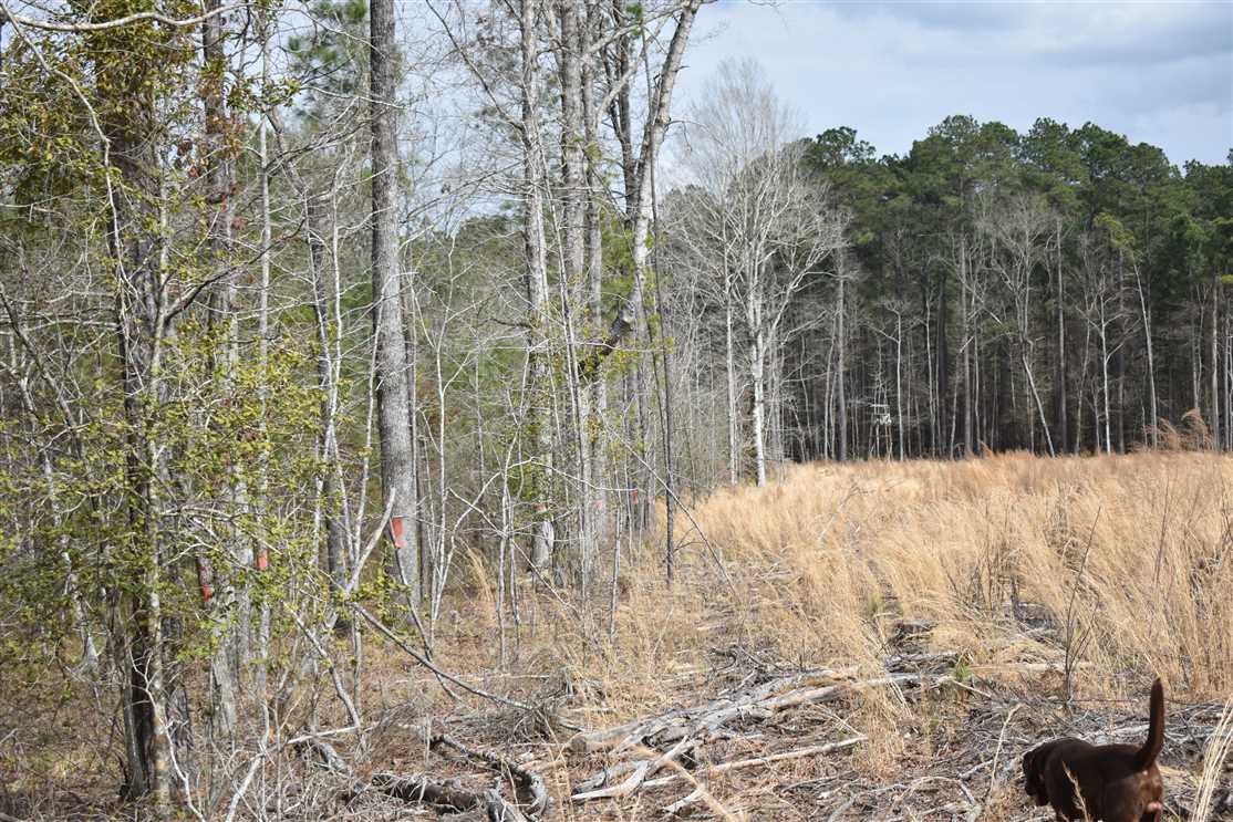 property for sale on The Land Market