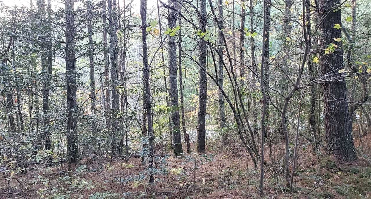 Houses and land for sale in North Carolina
