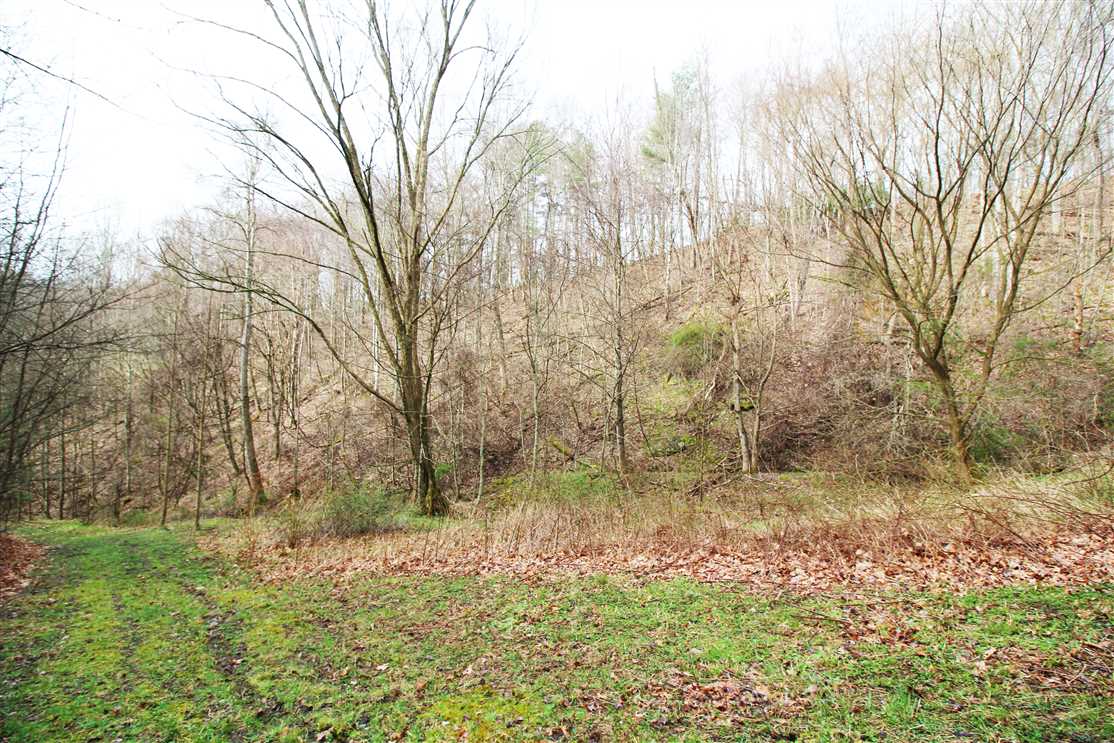 Land for sale at 00 Big Horse Creek Road