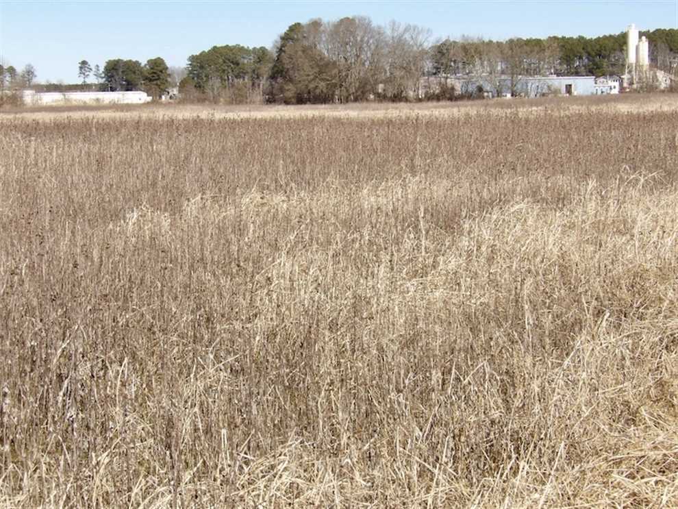 35 Acres of Land for sale in isle of wight County, Virginia