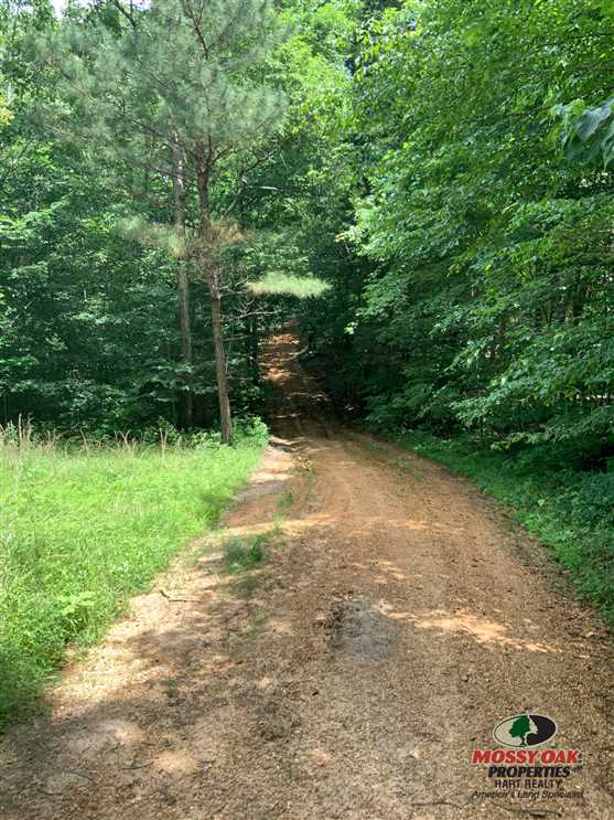 Houses and land for sale in Kentucky