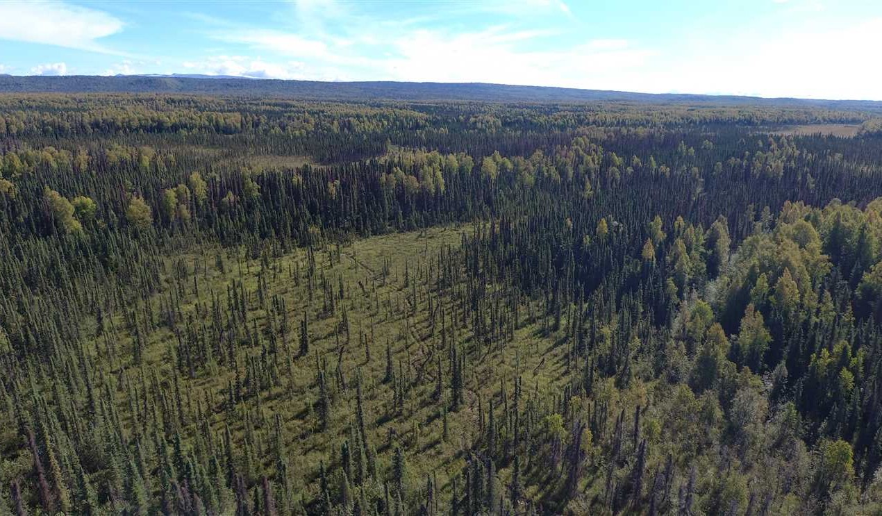 80 Acres of Residential land for sale in Willow, matanuska-susitna County, Alaska