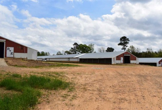 98 Acres of Land for Sale in nevada County Arkansas