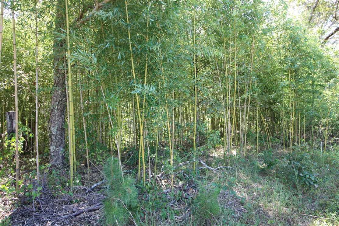 Land for sale to buy in 63935 zip code