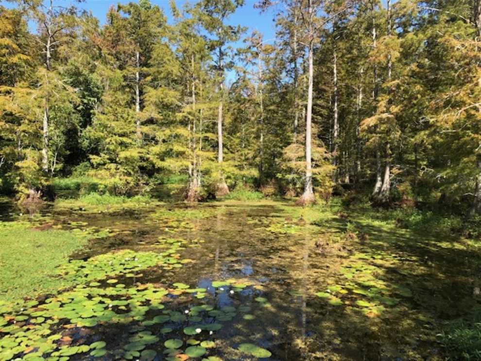 Recreational and   property for sale on The Land Market