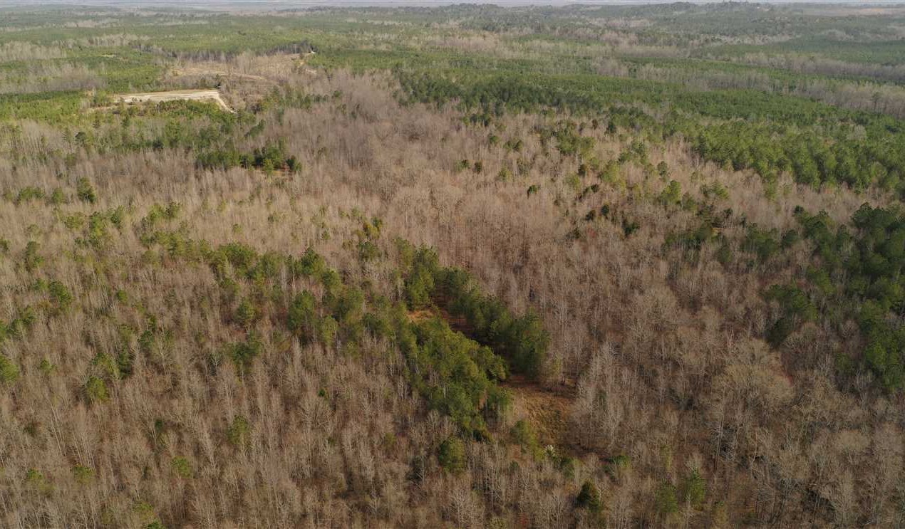 92 AC Clay Co Ms Hunting Tract Real estate listing