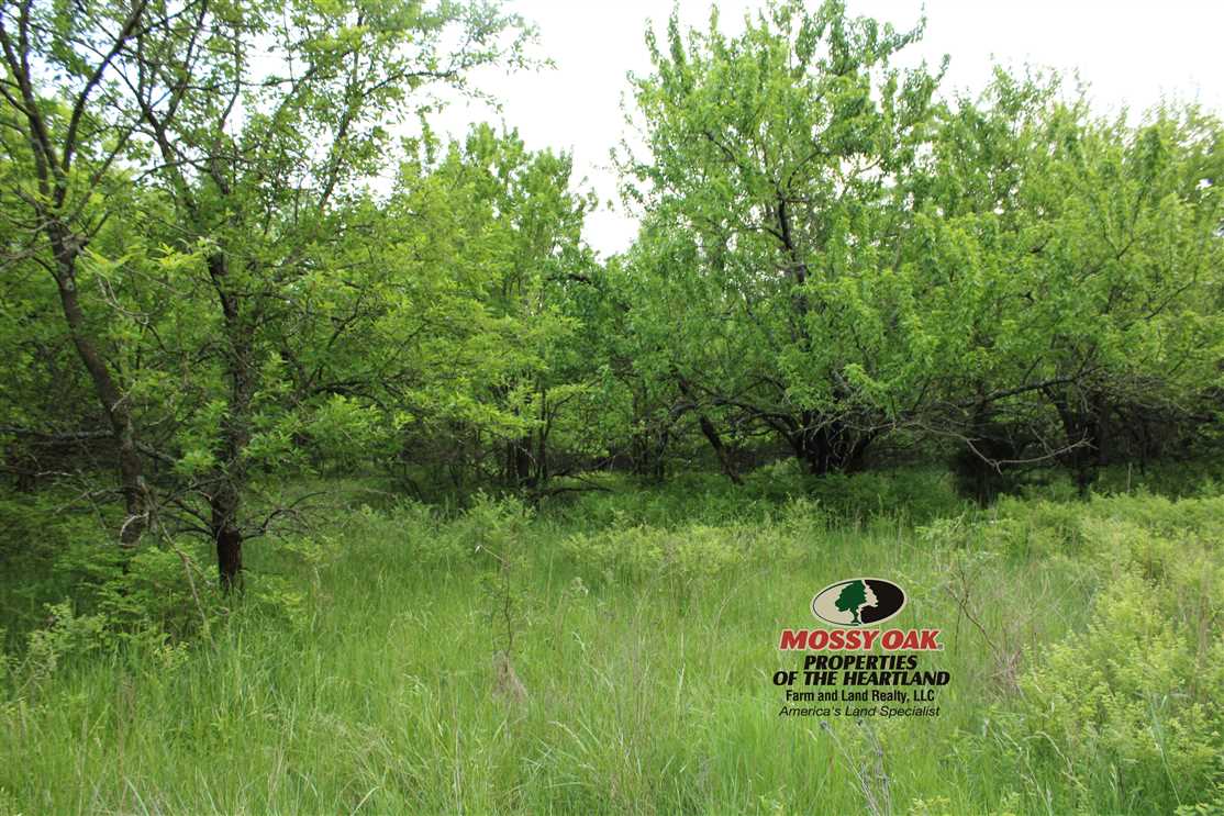 Land for sale to buy in 66783 zip code