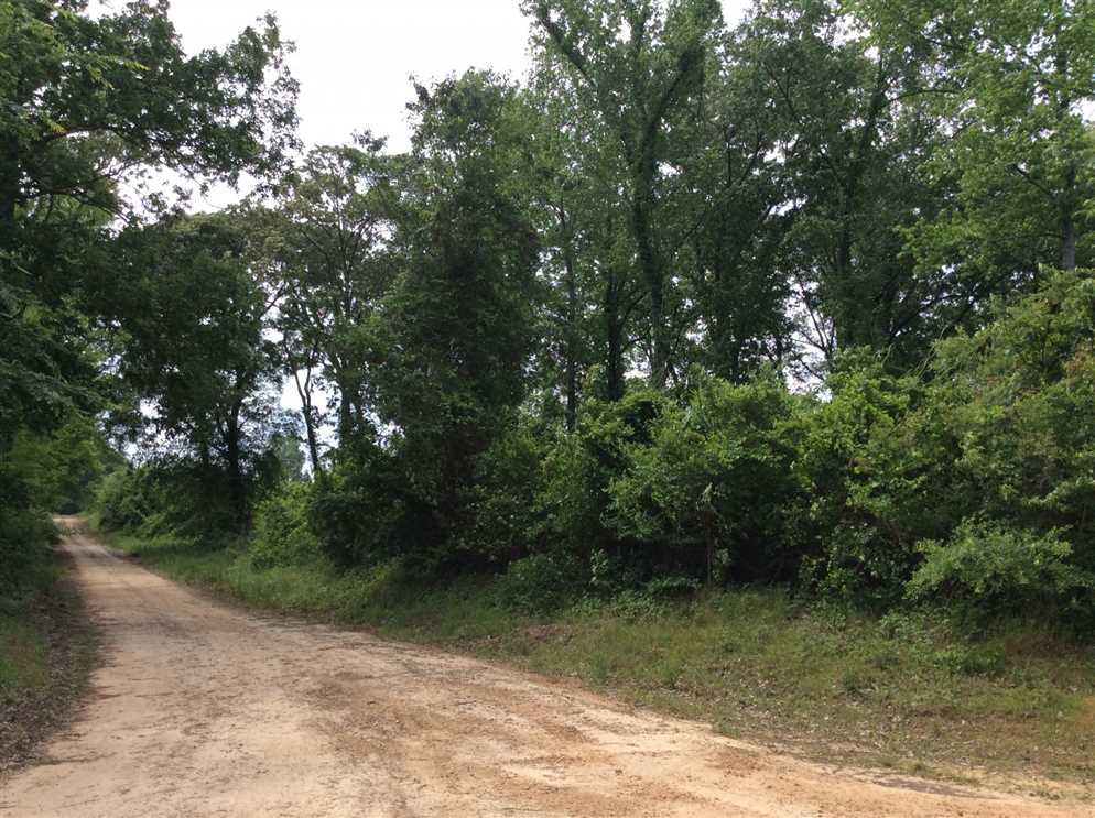 Hunter Road Tract, Winn Parish, 35 Acres +/- Real estate listing