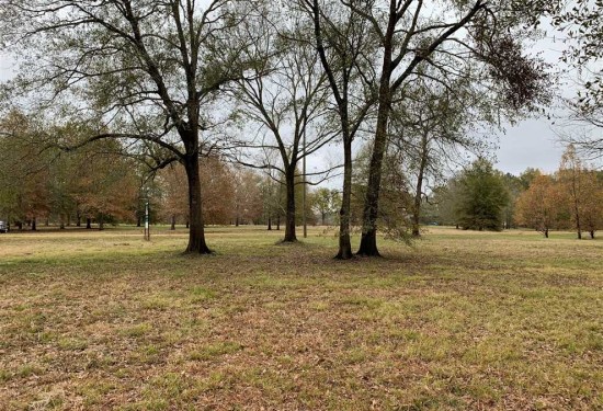 5 Acres of Land for Sale in union County Louisiana