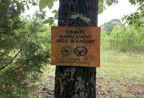 80 Acres of Land for Sale in white County Arkansas