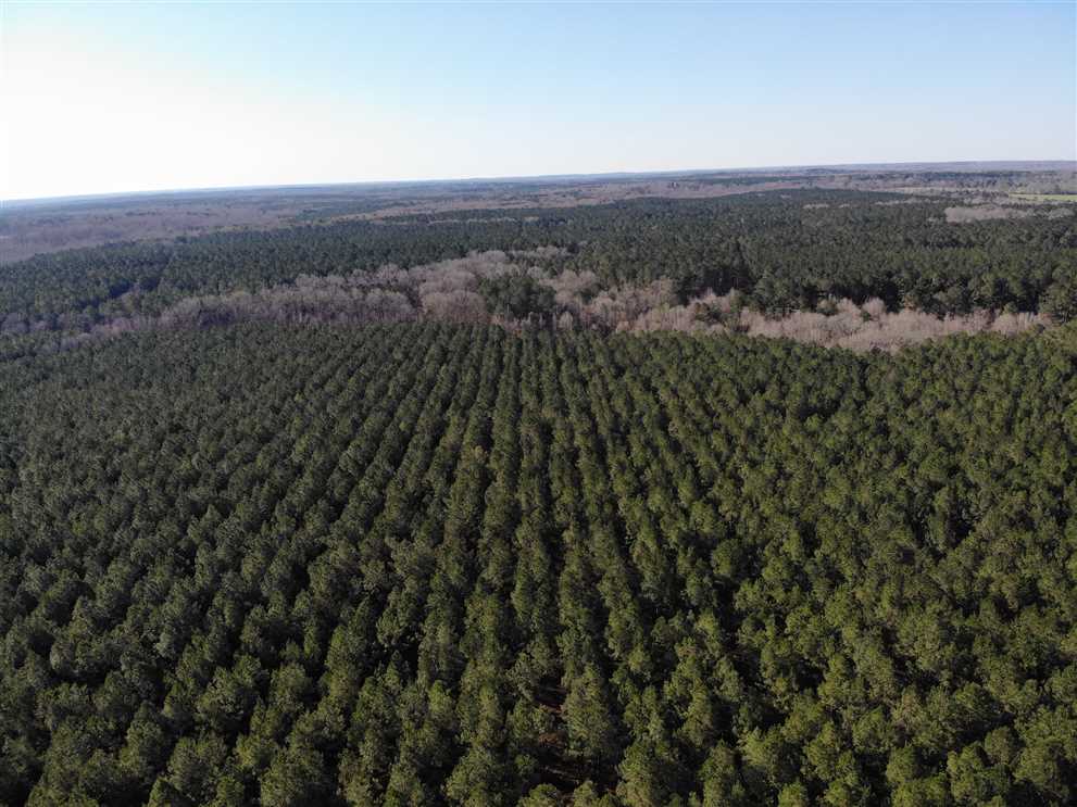Land for sale to buy in 39144 zip code