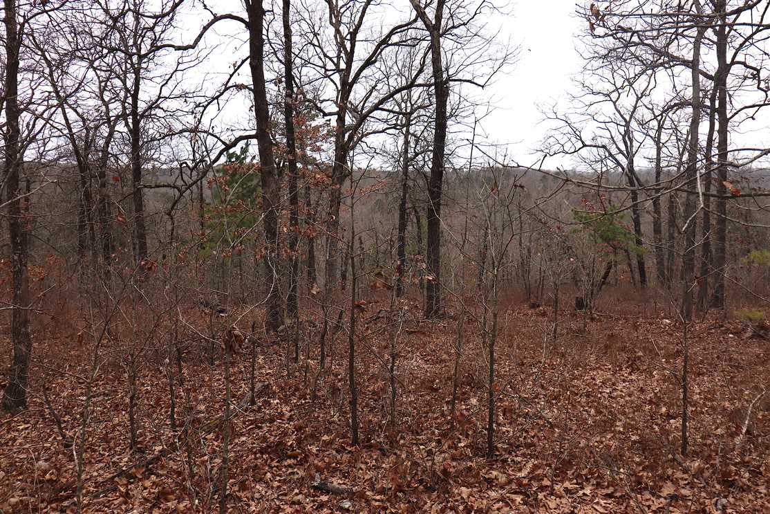 Property for sale at