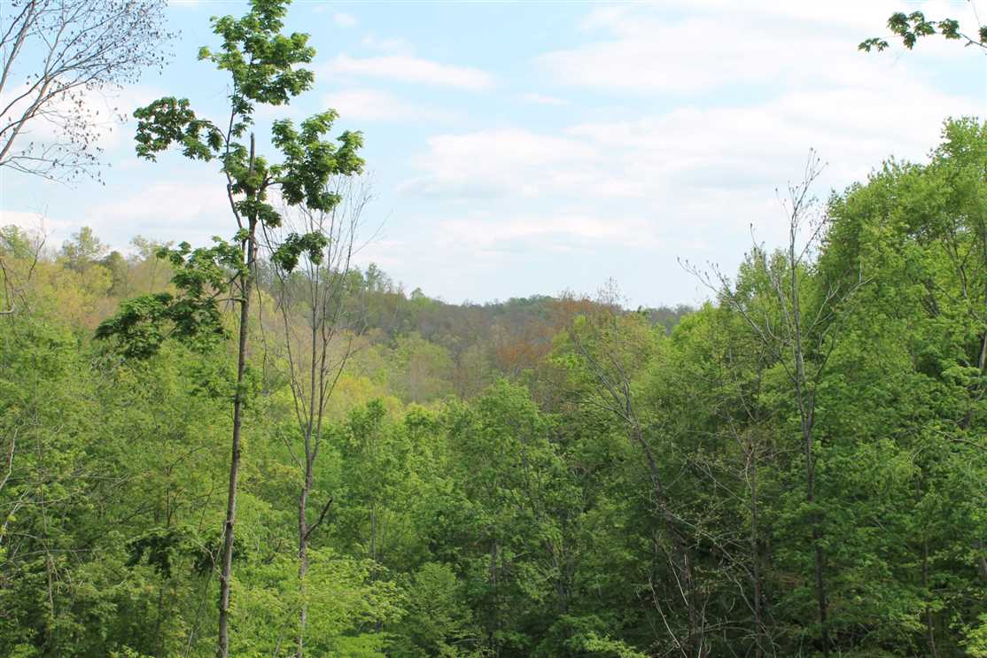 Land for sale at 0 Keeling Branch Hwy