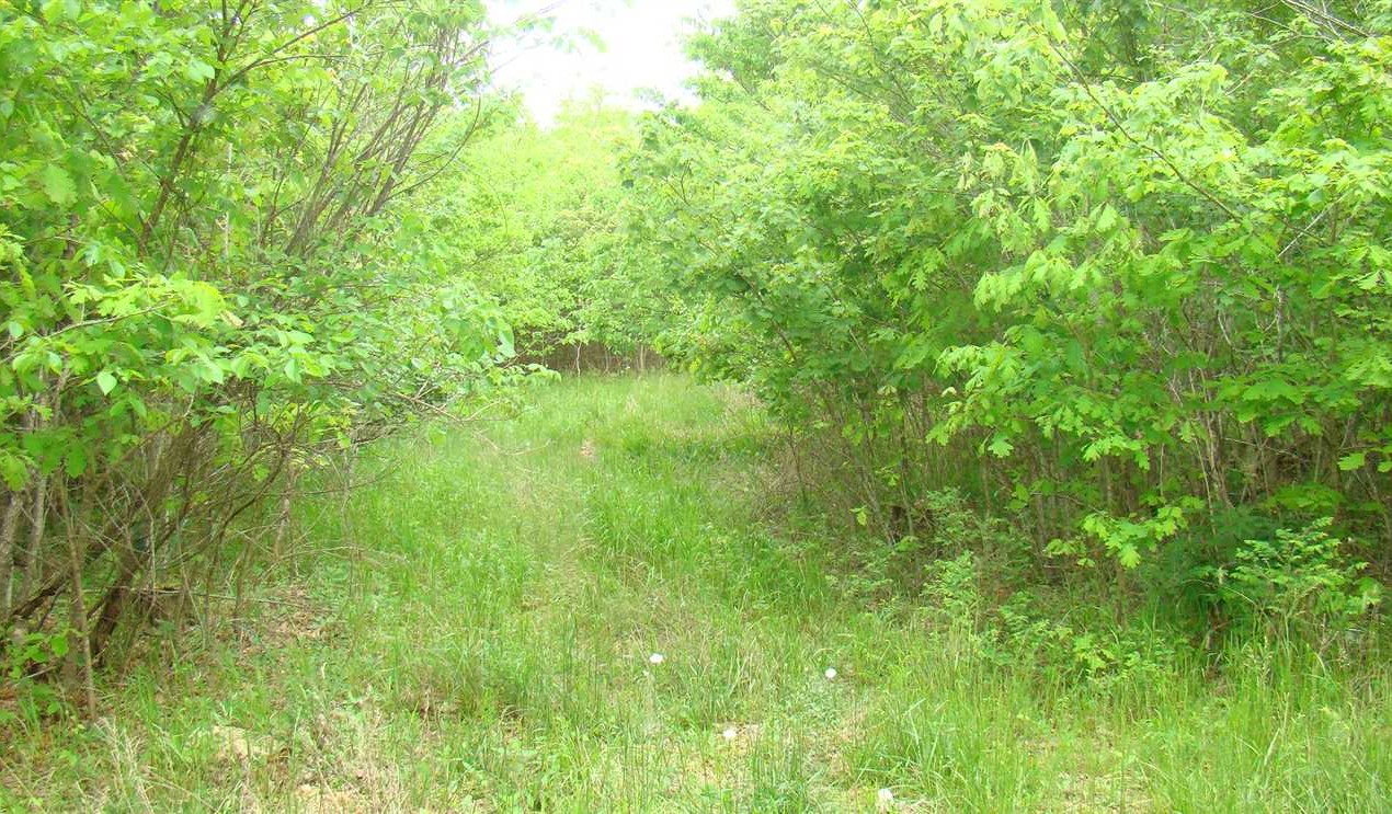 120 Acres of Land for Sale in howell County Missouri