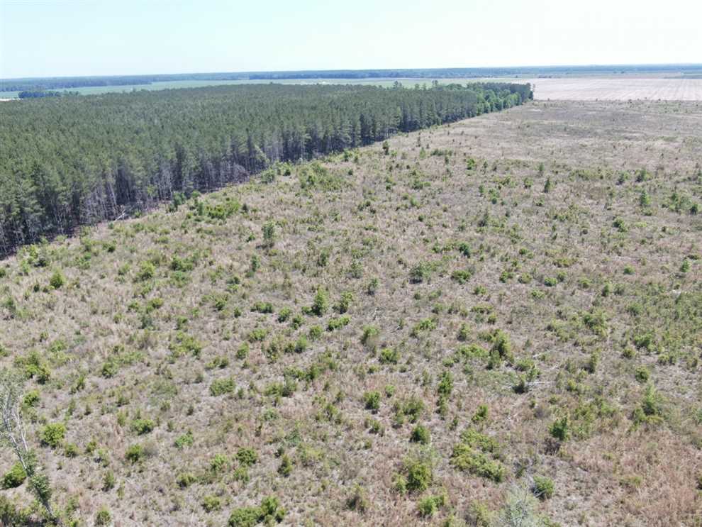 40.92 Acres of Land for sale in hamilton County, Florida