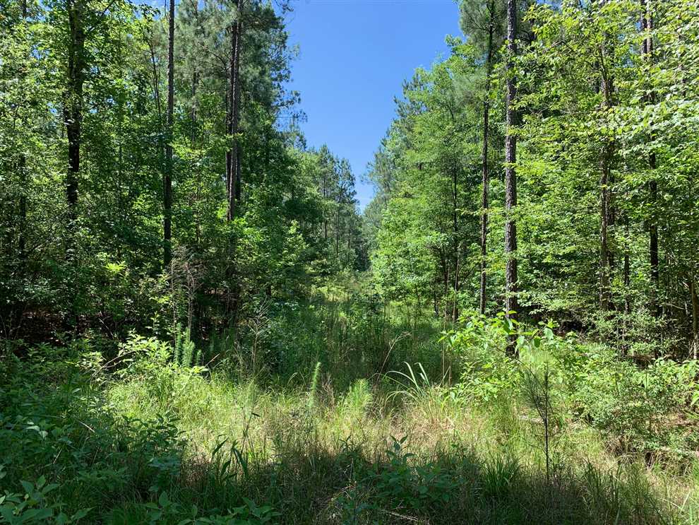 Houses and land for sale in Louisiana