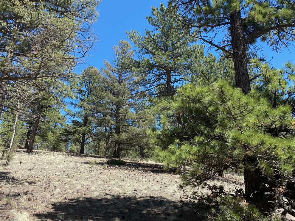 0.5 Acres of Residential land for sale in Florissant, teller County, Colorado