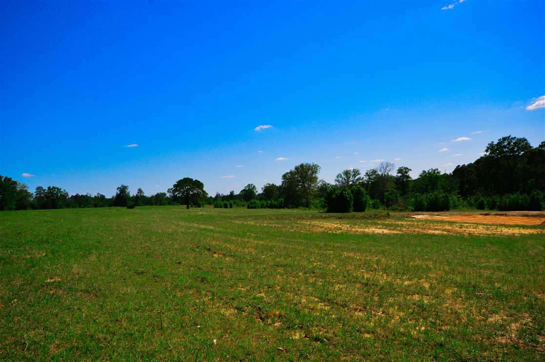 59 Acres of Residential land for sale in Nacogdoches, nacogdoches County, Texas