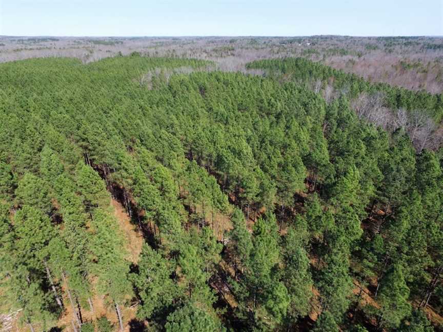 Property for sale at Off Jeffress Rd