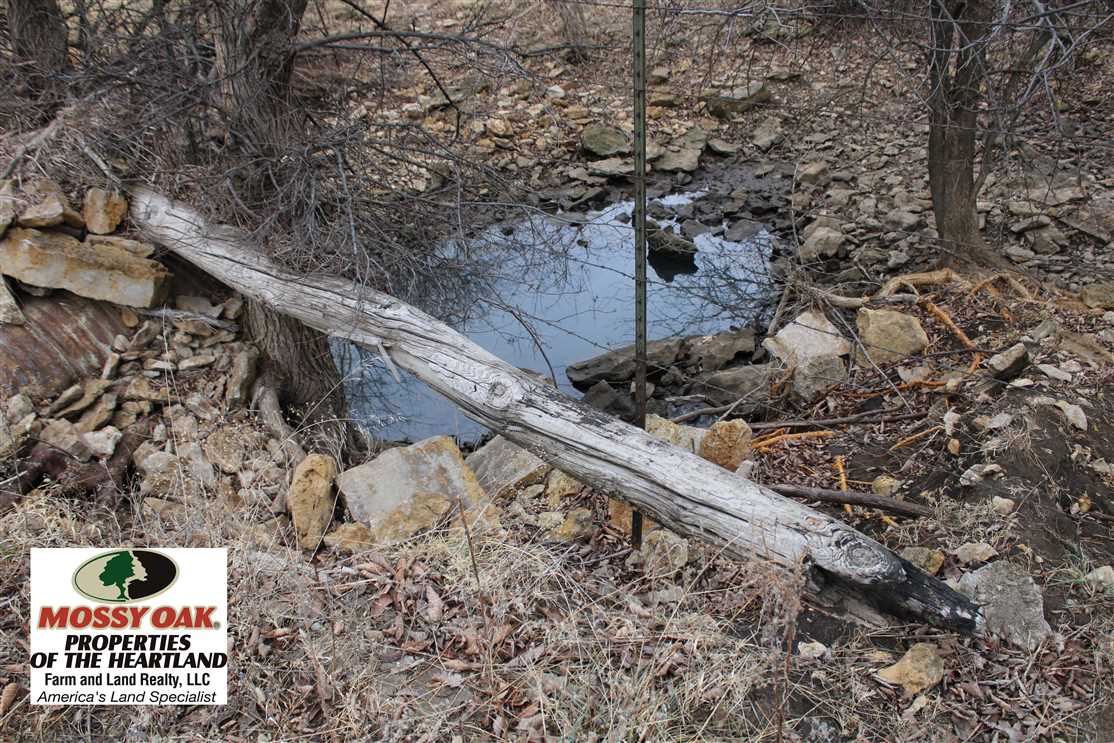 Ranchland real estate available to buy