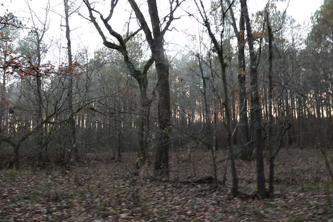Land for sale at 2126 Old Highway 25
