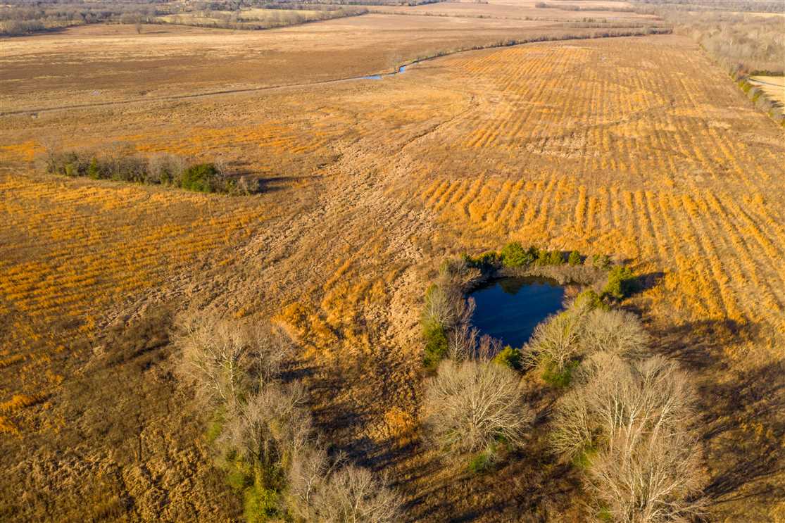 350 Acres of Recreational land for sale in Jamestown, independence County, Arkansas