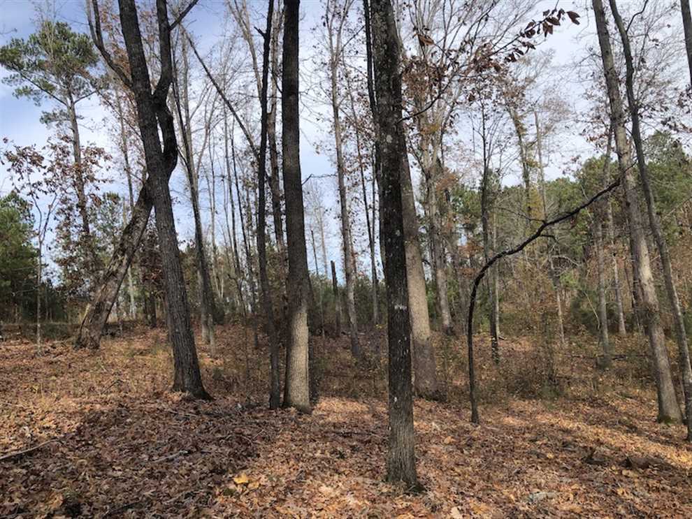 Land for sale to buy in 29130 zip code