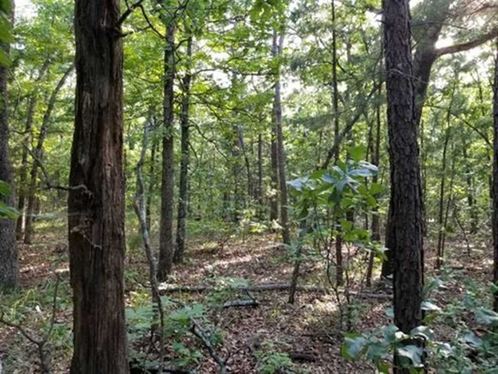 pushmataha County, Oklahoma property for sale